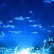 チャーリーの画像