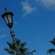 わんりあす