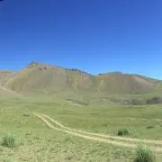 amahare