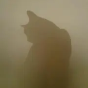 かおりんの画像