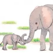 KURU KURUの画像