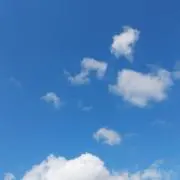 シンジ