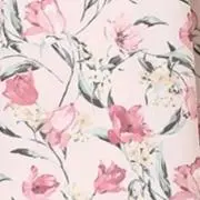 yの画像