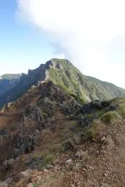 やまの画像