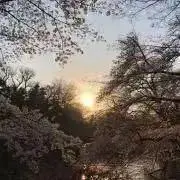 てでぃ※プロフィール読んでくださいの画像