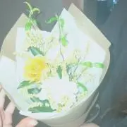 彩の画像
