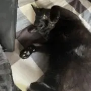 あややの画像