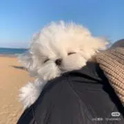 るんの画像