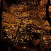 varietyの画像
