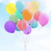 まりもの画像