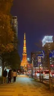 delsurの画像