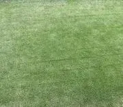 kameredsの画像