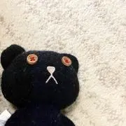 くまの画像