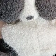 えーた