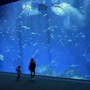 みずきの画像