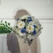 もちもちの画像