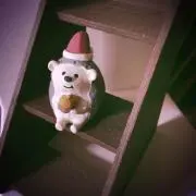 HA®️Yの画像