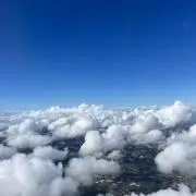 クリスタの画像