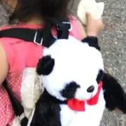 もんちゃん