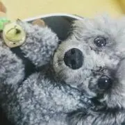 Ayato  Setoの画像