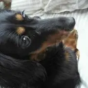 超まーくんの画像