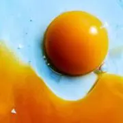 がきおの画像
