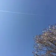 みぃ