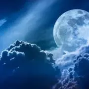 B即購入大歓迎の画像