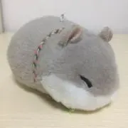 もふの画像