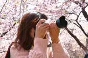 Yu☆camera@発送は月水金(祝休)の画像