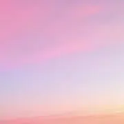yの画像