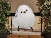 ちの画像