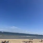 せいの画像