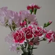 Mの画像