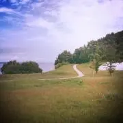 やちこの画像