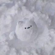 ねこの画像