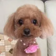 amieamiの画像