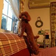 Dukeプロフみてみて^ ^の画像