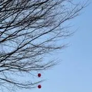 ばななの画像