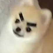りの画像