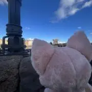 はむたの画像