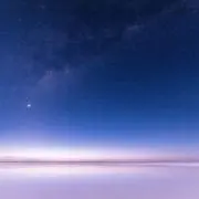 梅子の画像