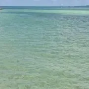 ハル