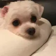 natsukiichiの画像