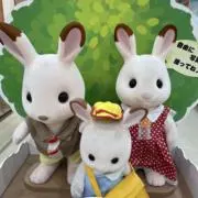 くららの画像