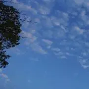 ミッコ☆の画像