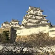 「Ｍ」の画像