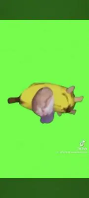 ぺぺ