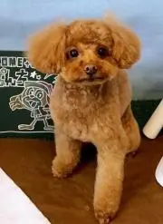 ゆみ