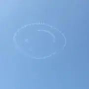 ハシビロコウ